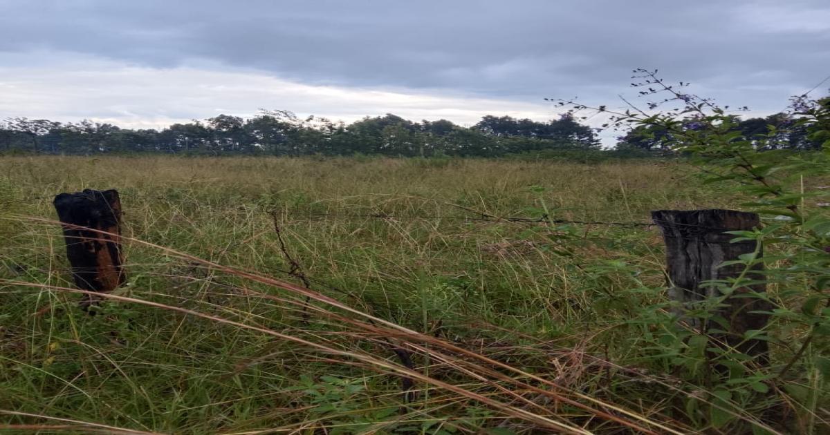 Plot for Sale Nakuru, Mang'u Opposite Mema Secondary  - Image 1