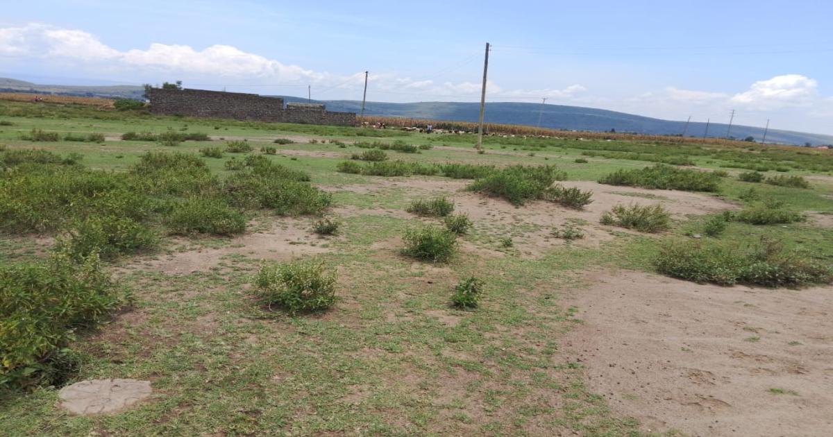 Plot For Sale Nakuru Miti Mingi, Mbaruk Ndiuni