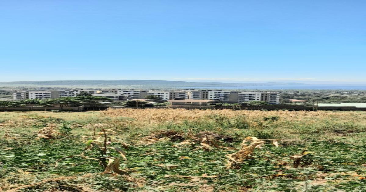 Plots for Sale Near Apex hotel