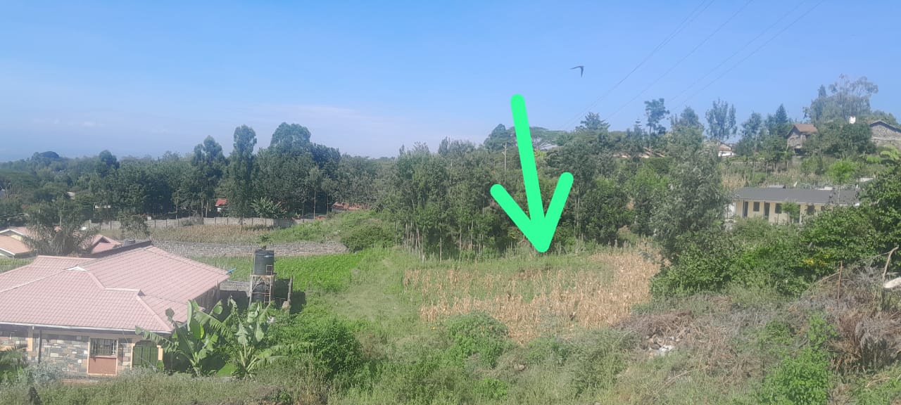 Plot For Sale in Milimani - Image 1