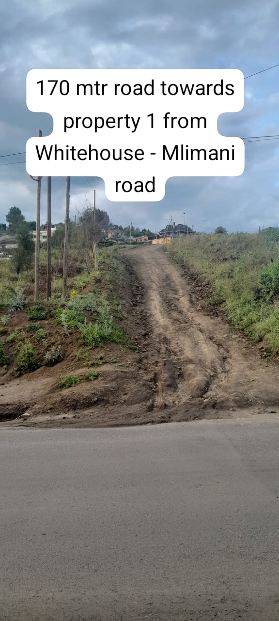 Plot For Sale in Milimani - Image 4